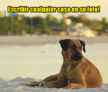Escribir en imágenes
